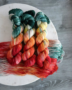 Destination Yarn Sport Weight Holland Tulips - Sport Weight