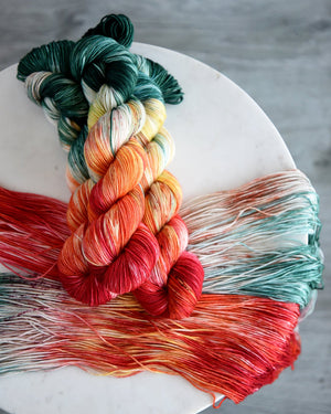 Destination Yarn Sport Weight Holland Tulips - Sport Weight