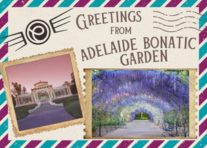 Destination Yarn Yarn First Class Silk Adelaide Botanic Garden