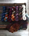 Destination Yarn Yarn Sets CAKEpalooza 2024 Full Skein Set