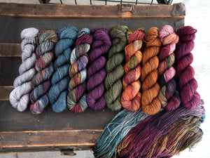 Destination Yarn Yarn Sets CAKEpalooza 2025 Full Skein Set