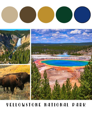 Destination Yarn Yarn Souvenir DK. Yellowstone National Park