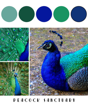 Destination Yarn Yarn Trinket Bankapura Peacock Sanctuary