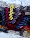 PARIS Collection Tonal Colorways - MINI SKEIN SET