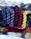 PARIS Collection Tonal Colorways - MINI SKEIN SET