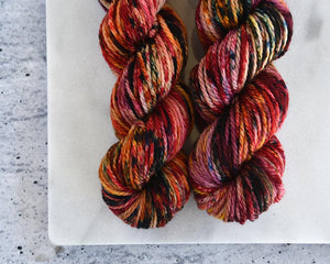 Destination Yarn Bulky Weight Yarn Fall Run - Wardrobe Trunk