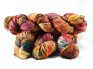 Destination Yarn DK Weight Yarn FALL RUN - Souvenir