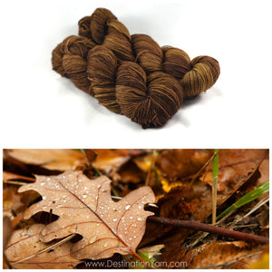 Destination Yarn DK Weight Yarn Fallen Leaves - DK