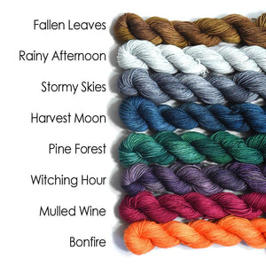 Destination Yarn DK Weight Yarn Fallen Leaves - DK