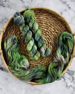 Destination Yarn fingering weight yarn Bamboo Grove Set