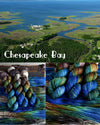 Destination Yarn fingering weight yarn Chesapeake Bay