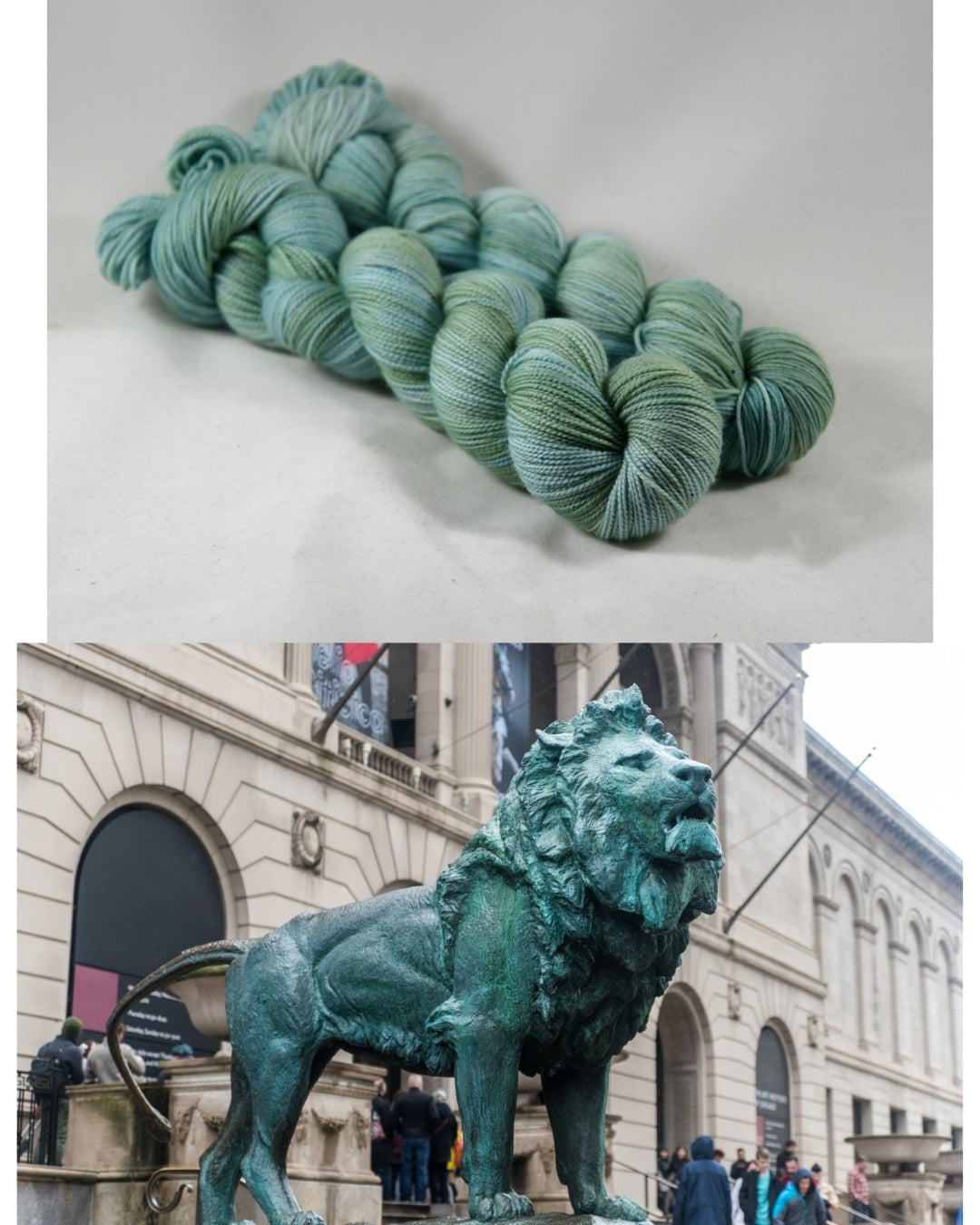 Destination Yarn fingering weight yarn Chicago Lion