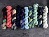 Destination Yarn fingering weight yarn CHICAGOLAND Full Skein Set - Dyed to Order