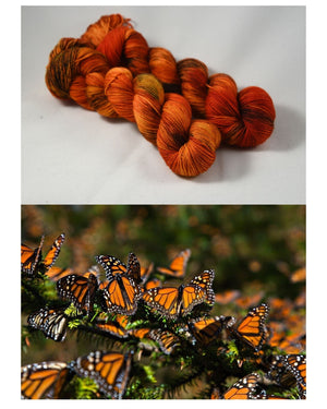 Destination Yarn fingering weight yarn El Rosario Monarch Preserve