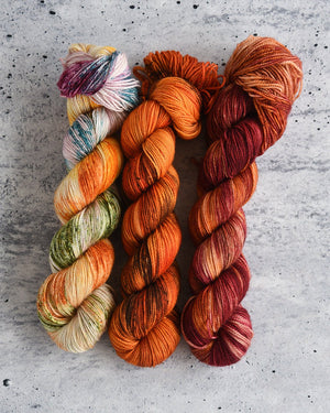 Destination Yarn fingering weight yarn El Rosario Monarch Preserve