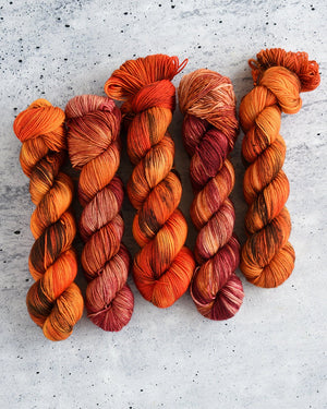 Destination Yarn fingering weight yarn El Rosario Monarch Preserve