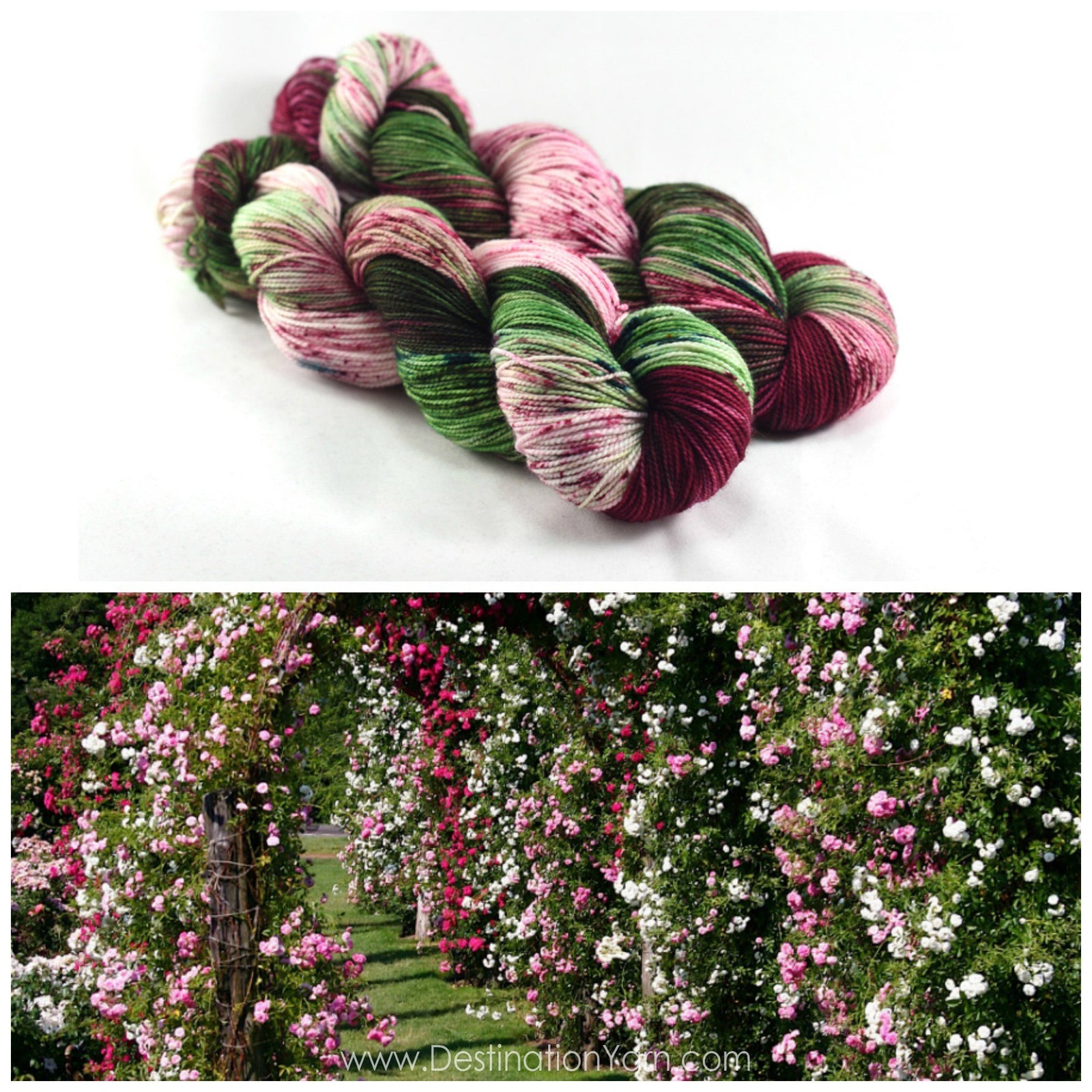 Destination Yarn fingering weight yarn ELIZABETH PARK