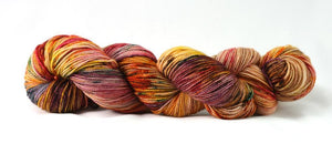 Destination Yarn fingering weight yarn FALL RUN
