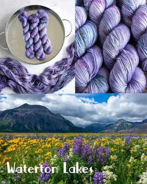 Destination Yarn fingering weight yarn First Class Silk Waterton Lakes National Park