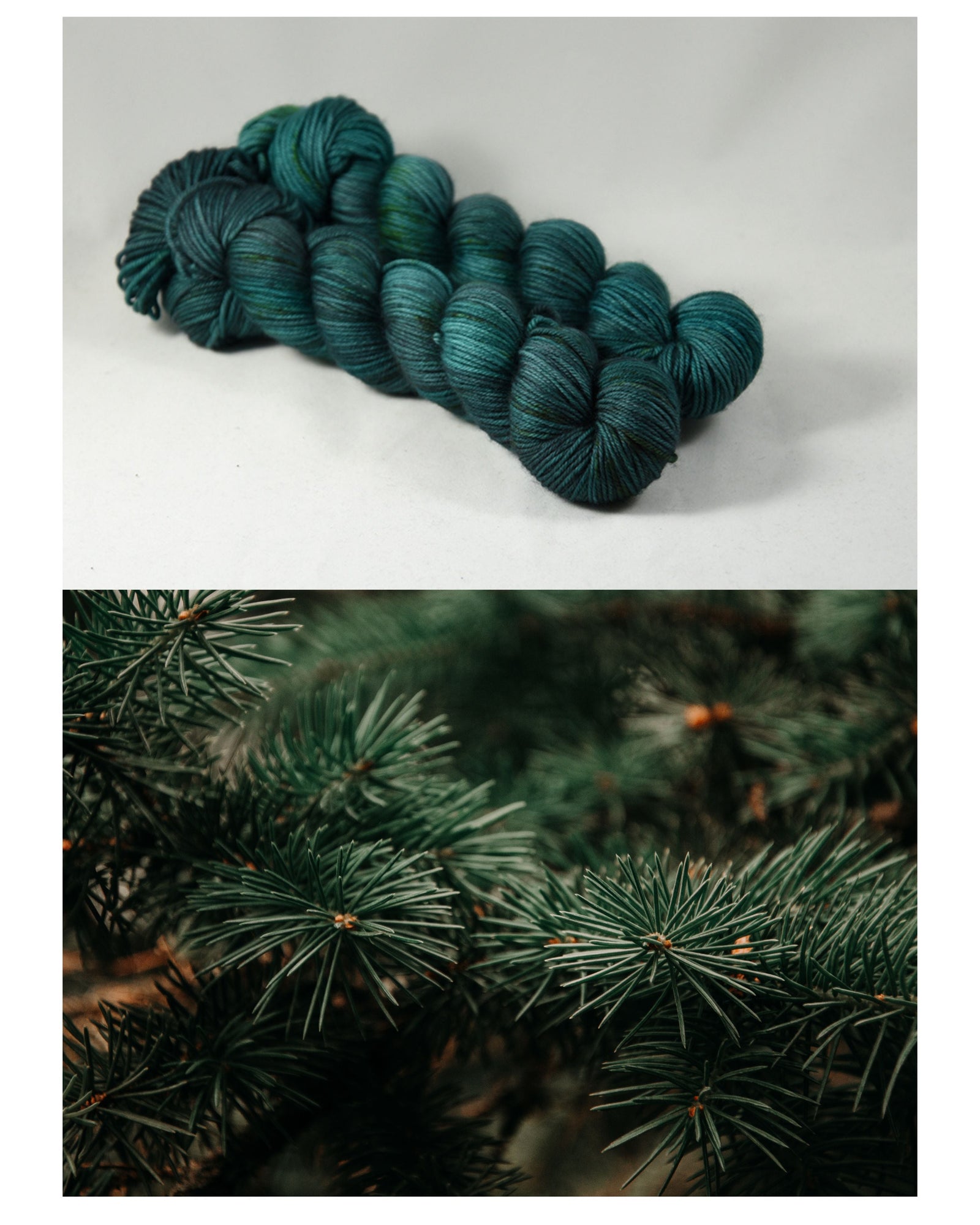 Destination Yarn fingering weight yarn Frasier Fir