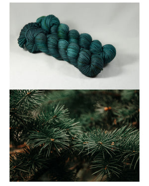 Destination Yarn fingering weight yarn Frasier Fir