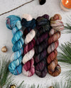 Destination Yarn fingering weight yarn Holiday 2022 Collection - NEW COLORWAYS FULL SKEIN SET