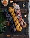 Destination Yarn fingering weight yarn Holiday 2022 Collection - NEW COLORWAYS FULL SKEIN SET