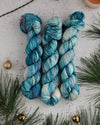 Destination Yarn fingering weight yarn Holiday 2022 Collection - New Variegated Colorways FULL SKEIN SET