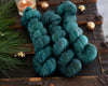 Destination Yarn fingering weight yarn Holiday 2022 Collection - Winter Forest Set