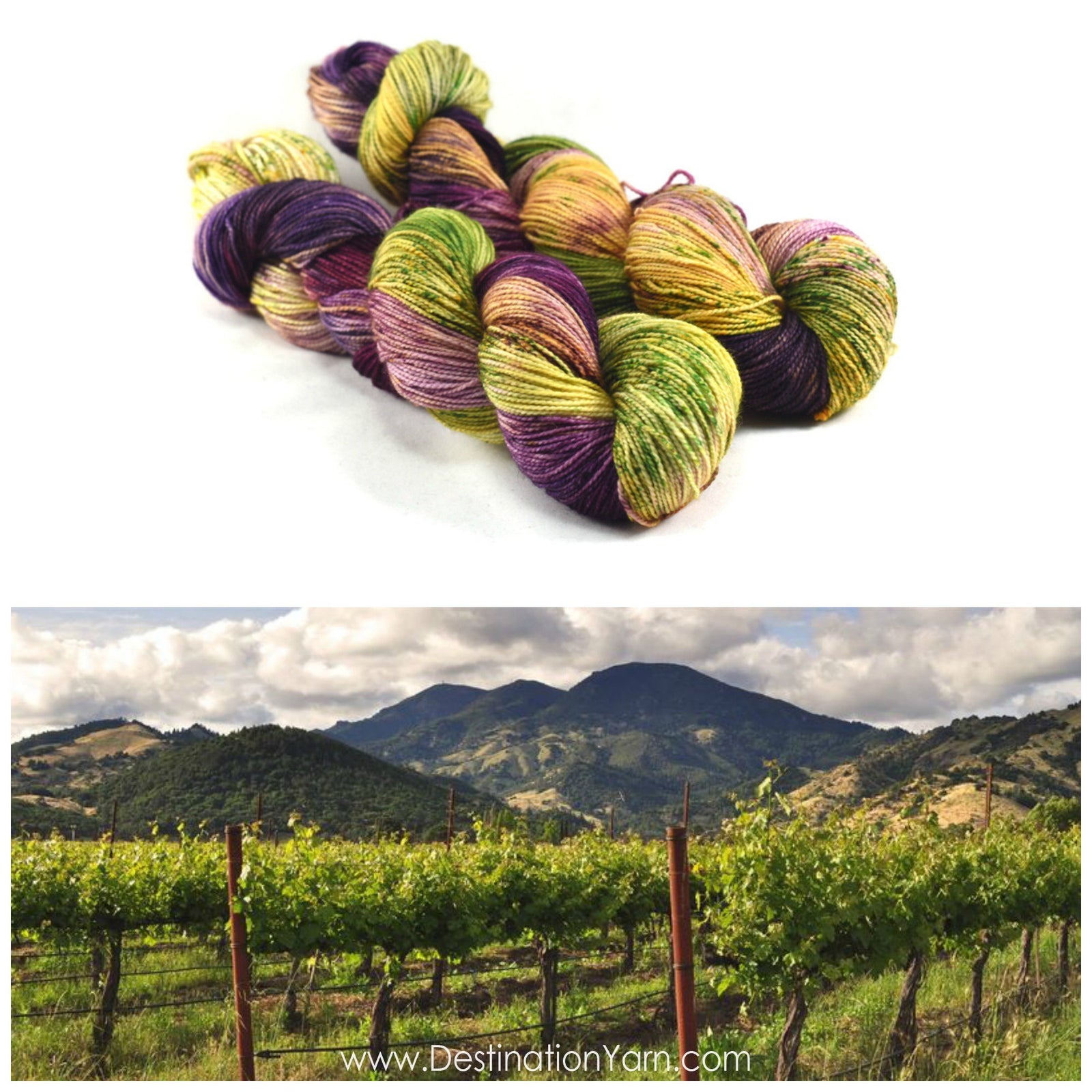 Destination Yarn fingering weight yarn NAPA VALLEY