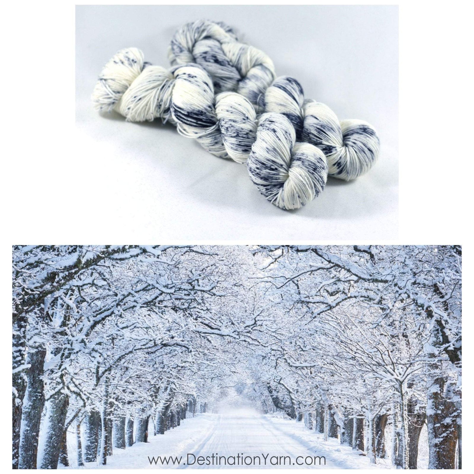 Destination Yarn fingering weight yarn NOR'EASTER