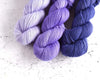 Destination Yarn fingering weight yarn Passport Jacaranda Tree - Mini Skein Set