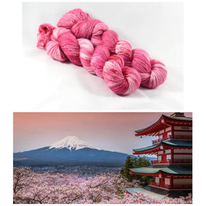 Destination Yarn fingering weight yarn Passport Mt. Fuiji