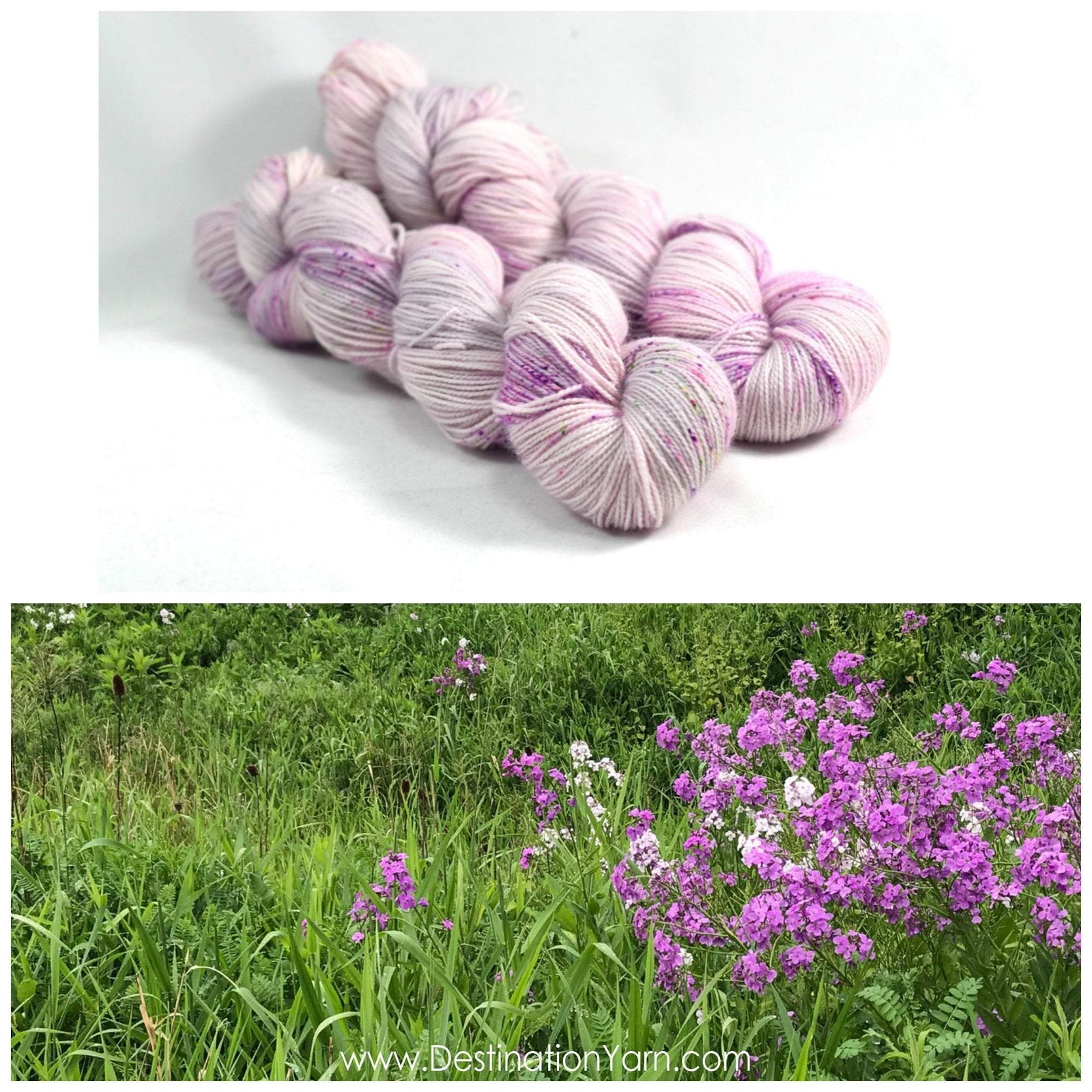Destination Yarn fingering weight yarn Roadside Wildflower
