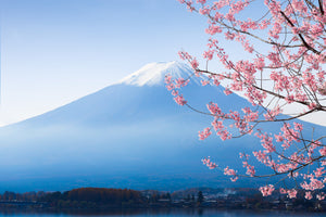Destination Yarn fingering weight yarn Sakura at Lake Kawaguchiko