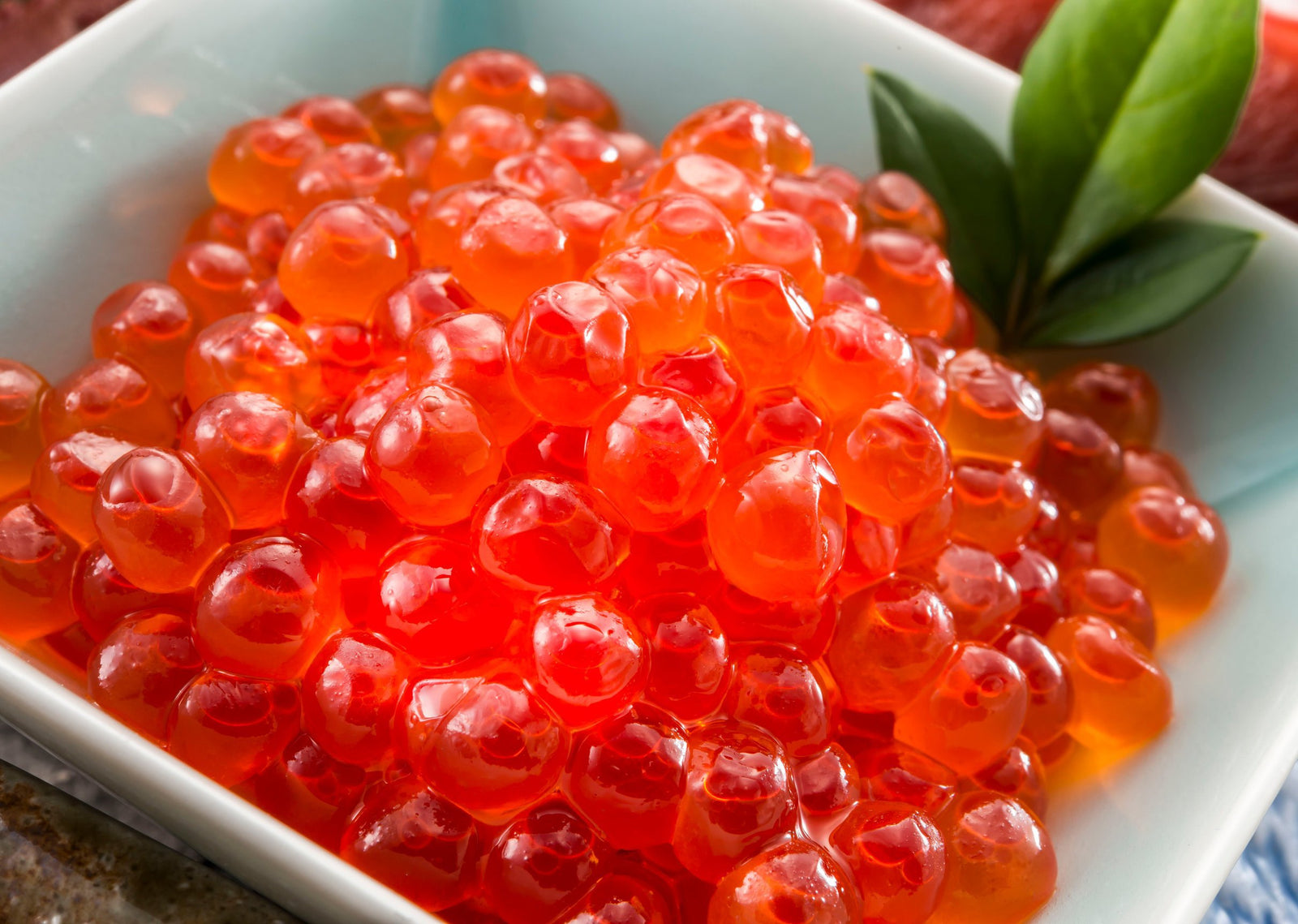 Destination Yarn fingering weight yarn Salmon Roe