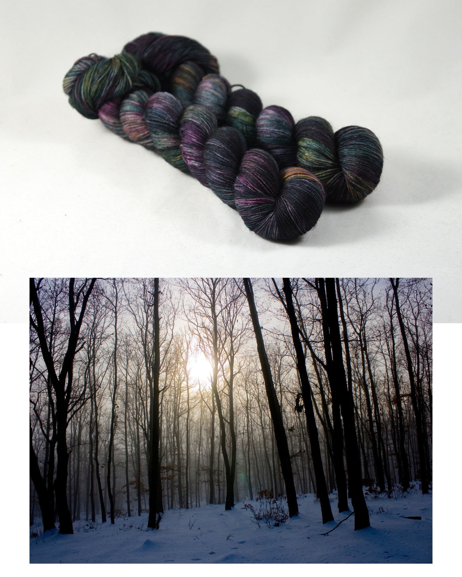 Destination Yarn fingering weight yarn Winter Forest