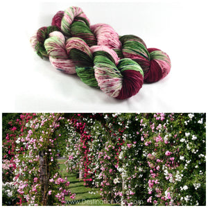 Destination Yarn Knitting Kit Elizabeth Park 3 Skein Shawl Kit