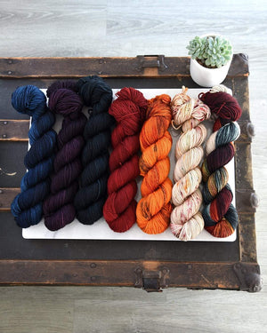 Destination Yarn Mini Skein Set Autumn Harvest - MINI SKEIN SET