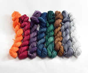 Destination Yarn Mini Skein Set Fall Tonal Mini Skein Set