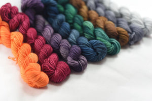 Destination Yarn Mini Skein Set Fall Tonal Mini Skein Set