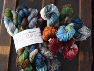 Destination Yarn Mini Skein Set Ohio Collection Mini Skein Set