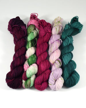 Destination Yarn Mini Skein Set Spring Garden - MINI SKEIN SET