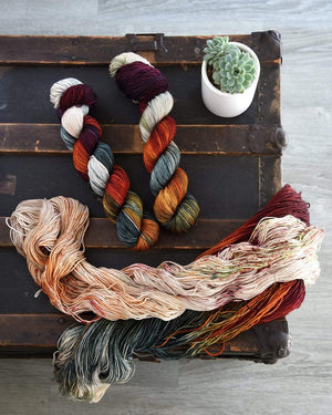 Destination Yarn Preorder Autumn Harvest Collection - FULL SKEIN SET