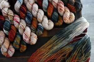 Destination Yarn Preorder Autumn Harvest Collection - FULL SKEIN SET