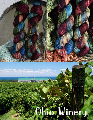Destination Yarn Slub Yarn Ohio Winery - Bumpy Road