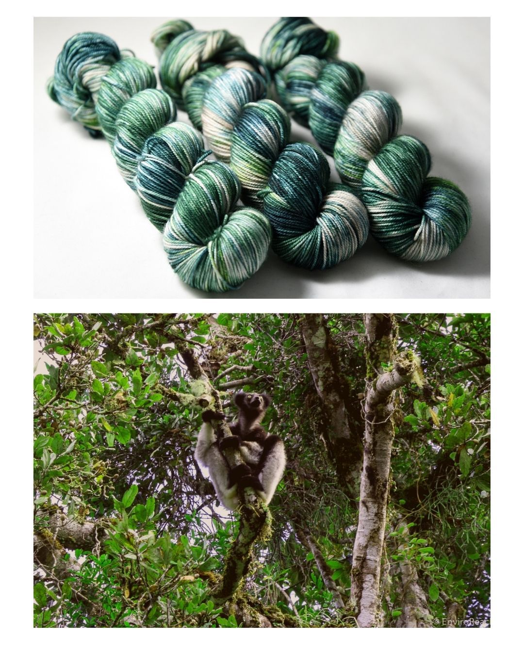 Destination Yarn Sport Weight Andasibe-Mantadia National Park - Sport Weight