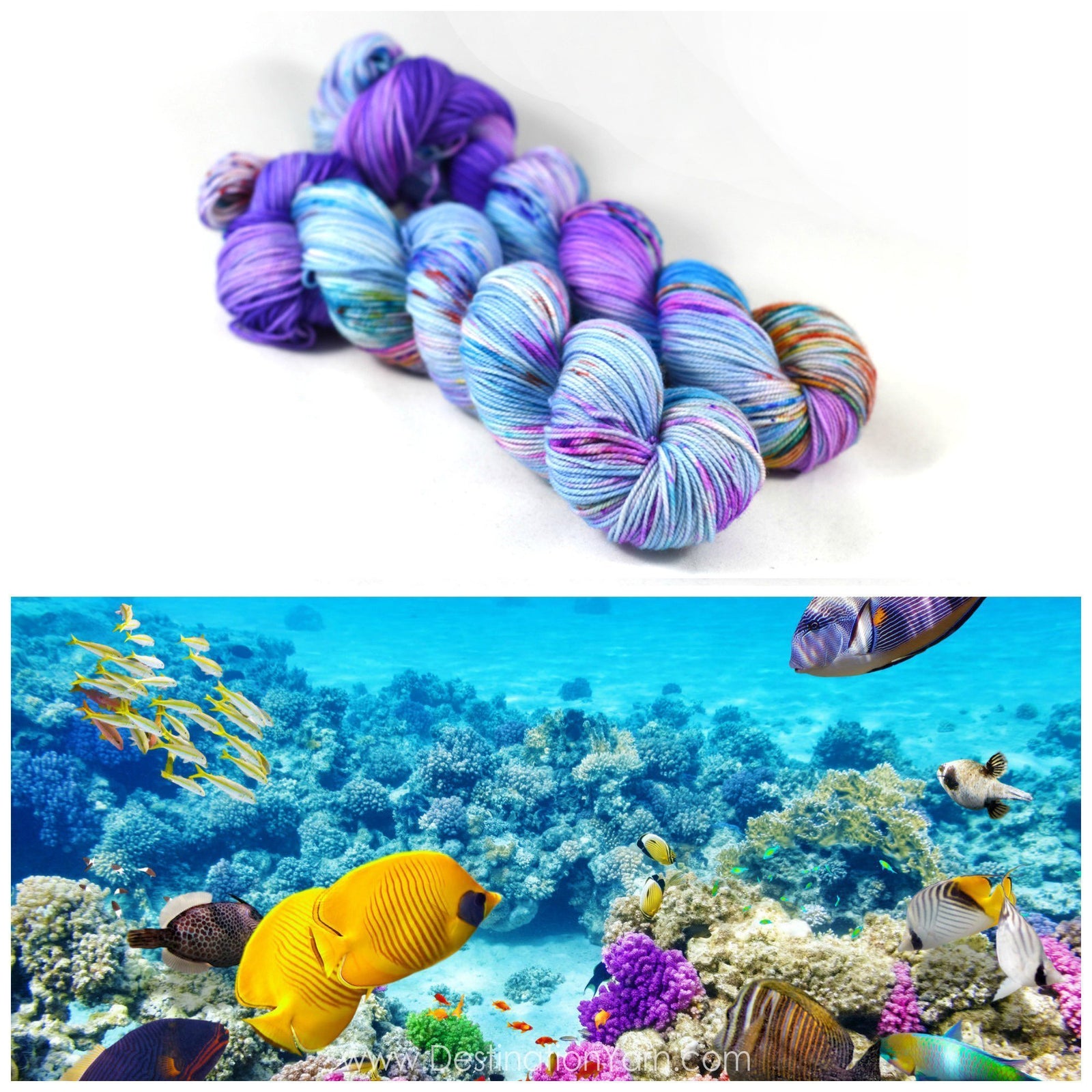 Destination Yarn Sport Weight Great Barrier Reef - Sport Weight
