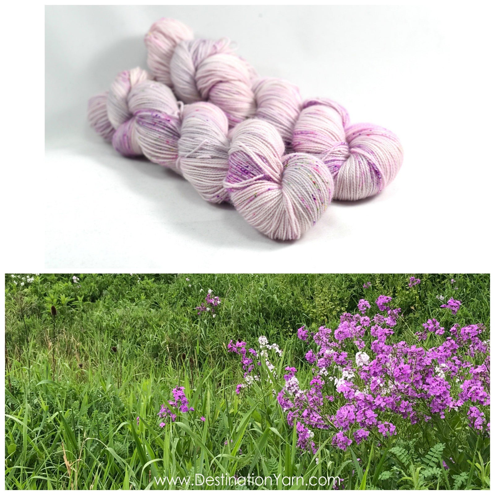 Destination Yarn Sport Weight Roadside Wildflower - Sport Weight