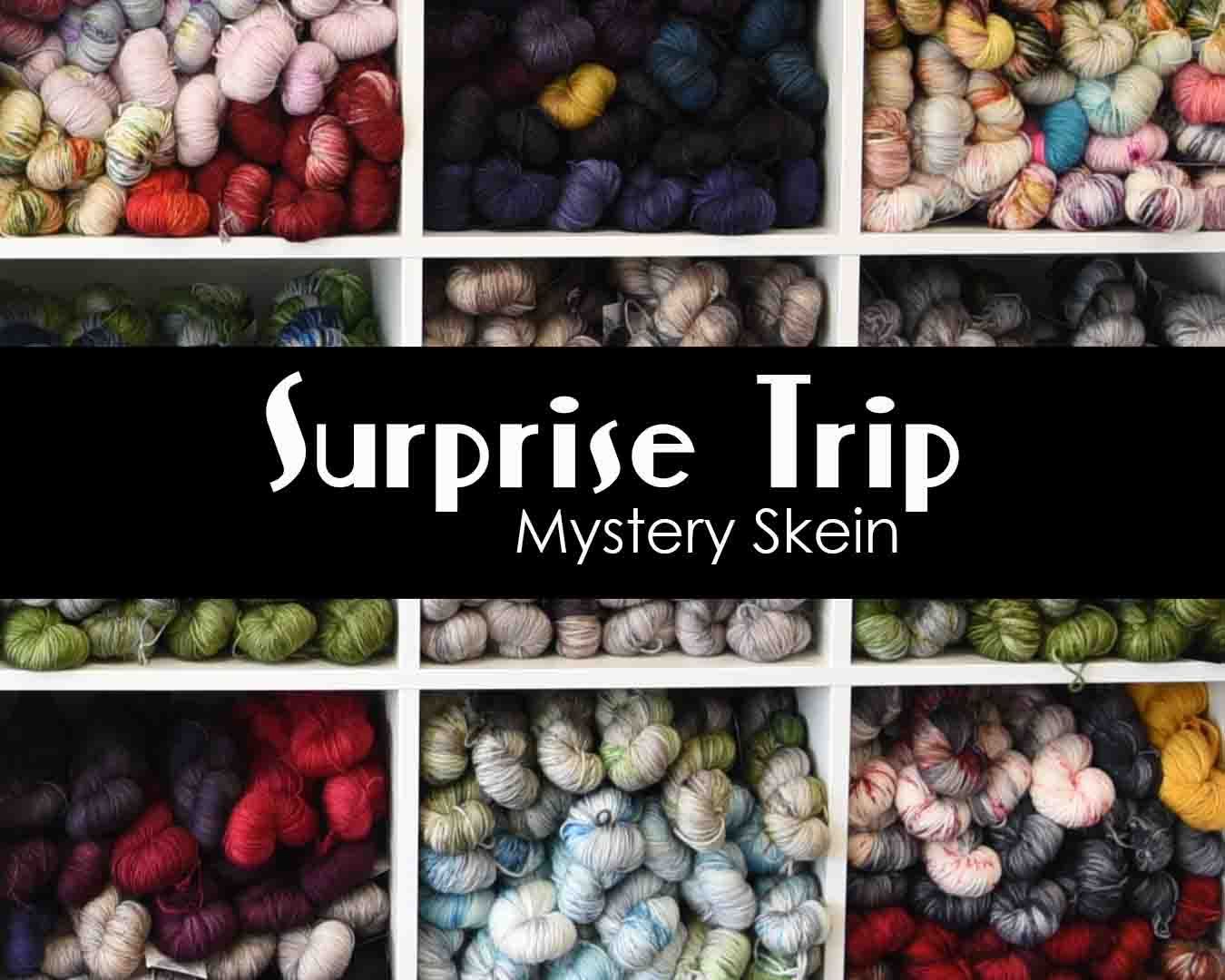Surprise Trip Skein!